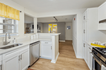 Run-quiet dishwasher to make clean-up a breeze